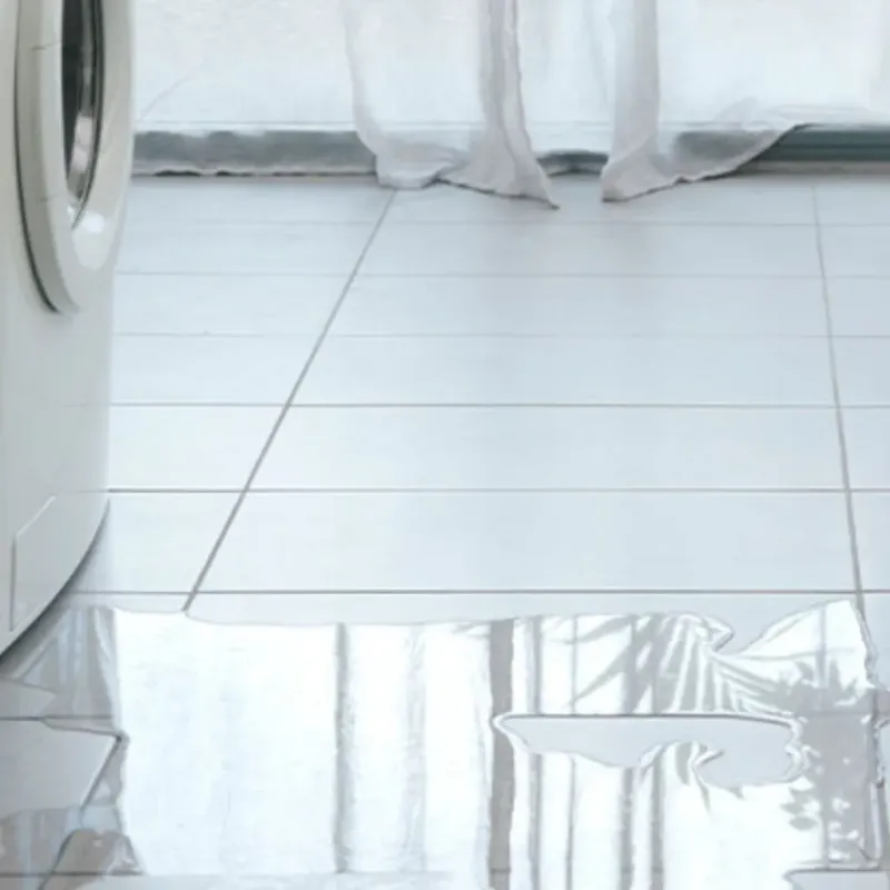 Appliance Leak Cleanup in Sebring, FL